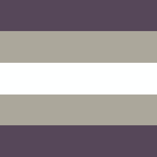 Grey Ace flag but it’s color-picked from Robbie (Age of Calamity).