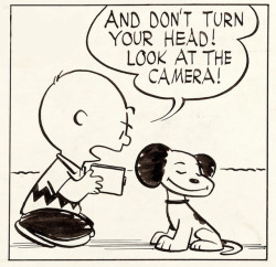 thebestcomicbookpanels:  Snoopy and Charlie Brown in Peanuts by Charles Schulz