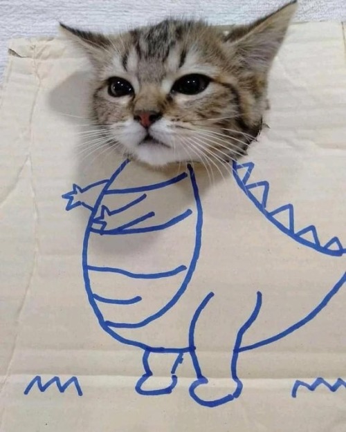 a dinysaur