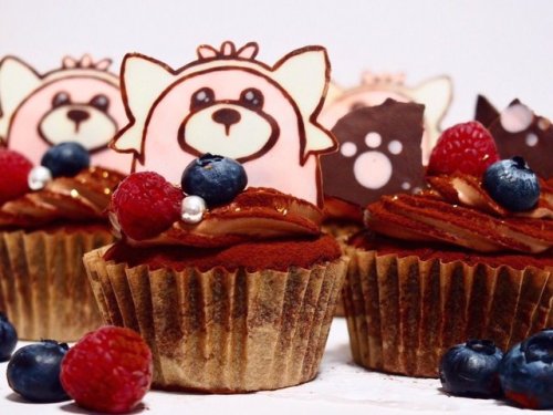 Bewear cupcakes by kuma_556!