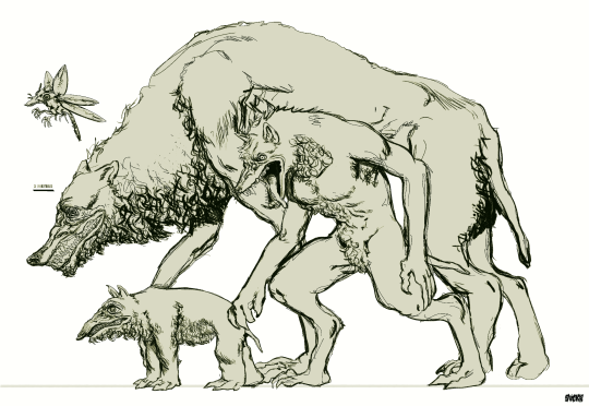 kinerxy:FeralytosisThe werewolf diseaseDifferent specimens of the primate order can be affected by this rare sickness.The main symptoms are a total change in the anatomy of the body, increase in size, elongation of the muzzle and a great appetite for