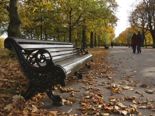 There’s a harmony in autumn… © Ronya Galka Photography