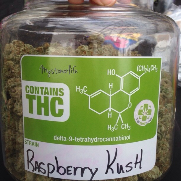 mystonerlife:  Raspberry Kush