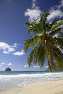 ata-raxie:Plage du Diamant, Martinique by