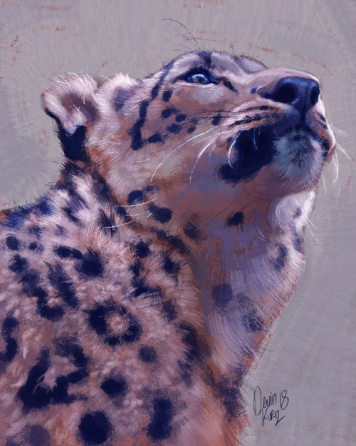 tamberella:A collection of some of my messy and experimental wild animal portraits from the last year!