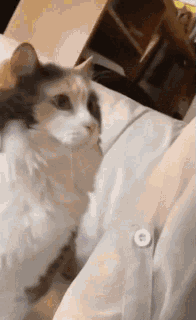 I Want To Sleep So Bad But I Have To Piss