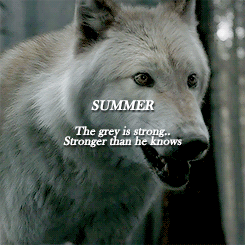 jonbran:   Summer’s howls were long and sad, full of grief and longing. Shaggydog’s