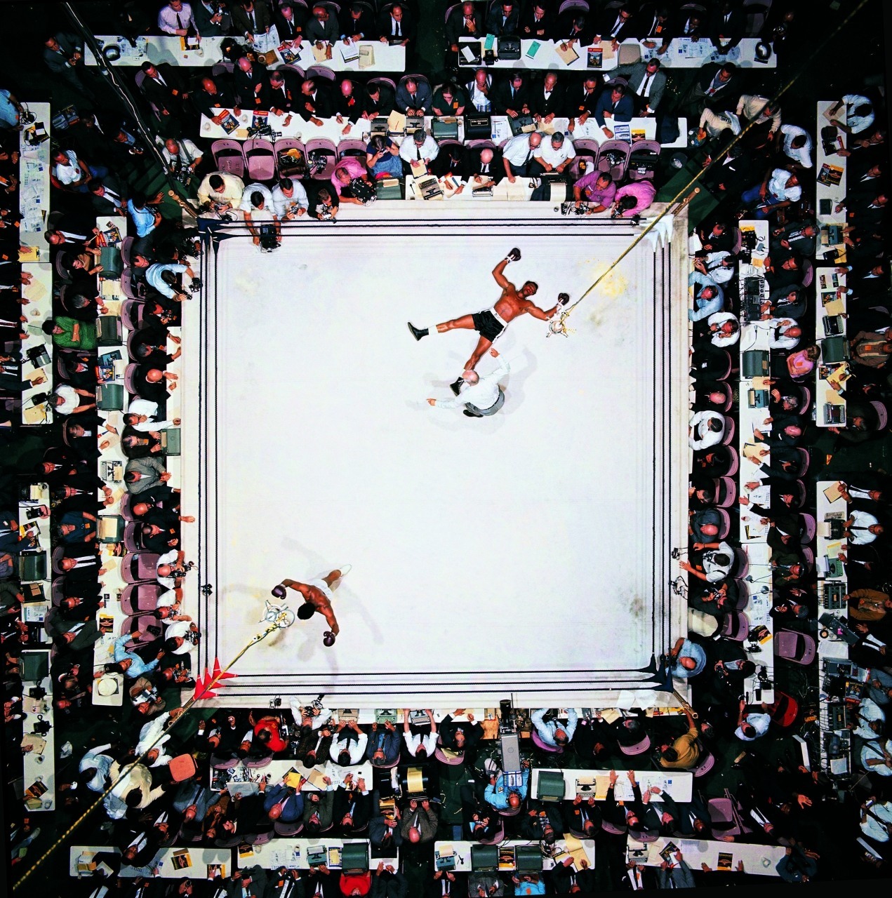 mividaebella:  lootandlaw:  Muhammad Ali knocks out Cleveland Williams  Fucking dope