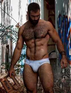Celebration Of The Male Beauty