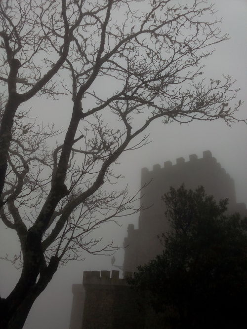 Springtime in Erice