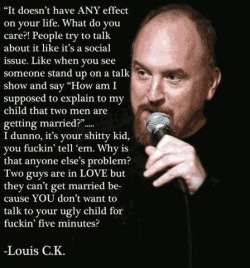 hotgaycouple:  Louis C.K. talked about the effect of gay marriage! Just read it. He has good thoughts.