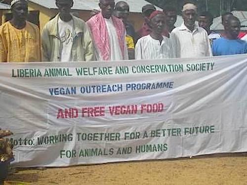 irritable-belle-syndrome:  Oh yeah but vegans are just a bunch of white, privileged