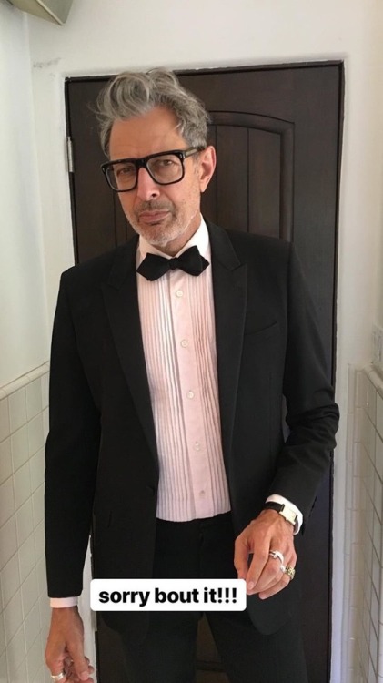 thegestianpoet:  buscemis: MR GOLDBLUM?????? WHY IS HE AN IG THOT  