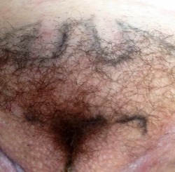 hairybushonly:  Like  👍  Re-Blog  🔄