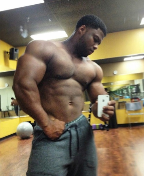 muscle papi