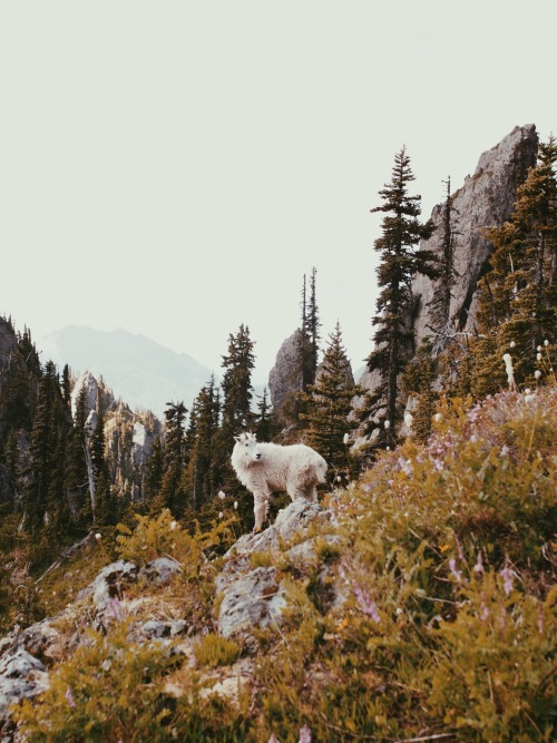 danielodowd:  http://josephgreer.vsco.co/