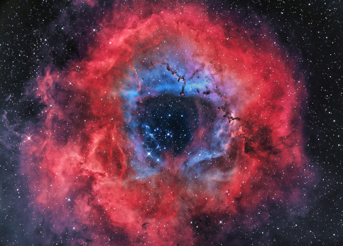 the-wolf-and-moon:  NGC 2237, Rose of the Cosmos