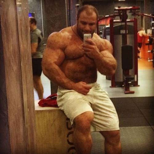 Bit of a bear, but more of a Muscle Cat.