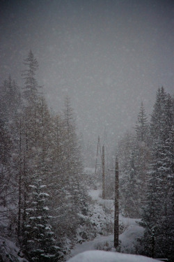 magicalnaturetour:  Snowing by   ilargi net on 500px 