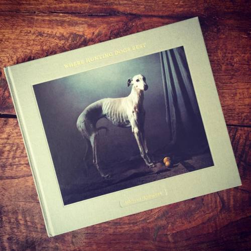 If you are a #greyhound lover, this is a MUST HAVE #book. If you are a #doglover, you also will love
