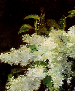 arsantiquis:  Flowers by Édouard Manet, part III. 