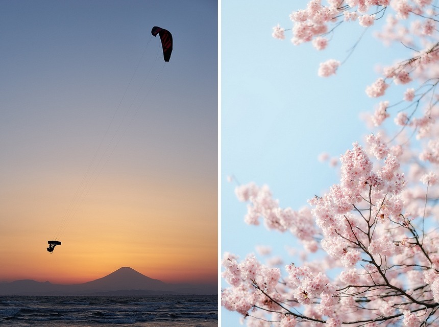 floralls:by SNOPAN PHOTOGRAPHY