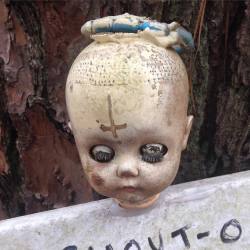 mykectown:  The weird shit you come across while hiking random trails hidden deep within the ghettos of Atlanta. Ole-Blair-Witch-Gummo ass shit.  (at Doll’s Head Trail) 