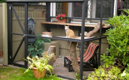 mymodernmet:Cat Owners Are Building Outdoor “Catio” Spaces for Their Beloved Pets to Lounge In