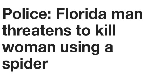 The Adventures of Florida Man and Florida Woman