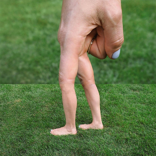 itscolossal:More: New #ComboPhoto Mashups from Stephen McMennamy