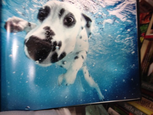 I FOUND A BOOK CALLED UNDERWATER PUPPIES AND IT IS JUST 113 PAGES FILLED WITH NOTHING BUT PICTURES O