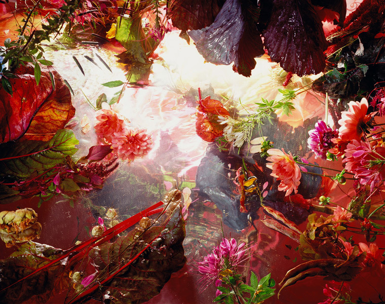 asylum-art:  Margriet Smulder Margriet Smulders’ intoxicating and smouldering flowers