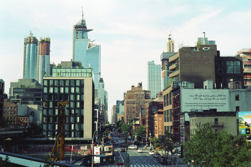 divesforever: hannah tore the new york times up into pieces (new york, ny // canon a-1 // kodak gold