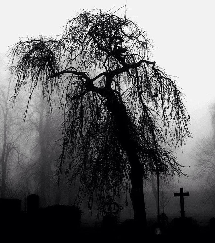 mar-de-grises:  Among the tombstones 