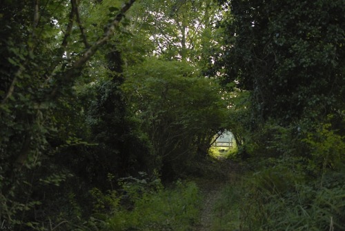 buron:The Door Beneath the Great Wood (xiii)©sydburon - October ‘15