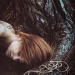 lilithleeh: