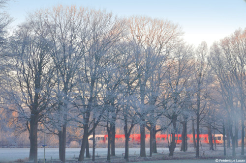 We had a really pretty winter solstice morning.