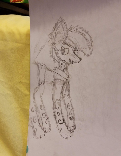 When Did You First Start Drawing? Like, Have You "always" Been Drawing, Like, Since You Were A Child,