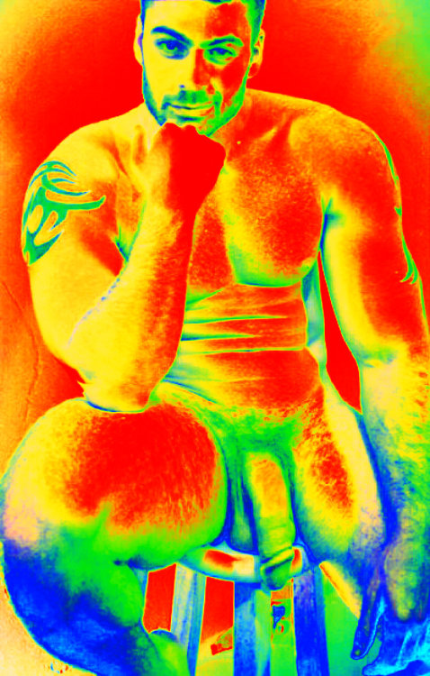 WOOF! HOTBEARS