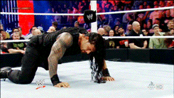 perversionsofjustice:  jellybelly30:  iwasmakingitreign:  theshieldrds:  iwasmakingitreign: