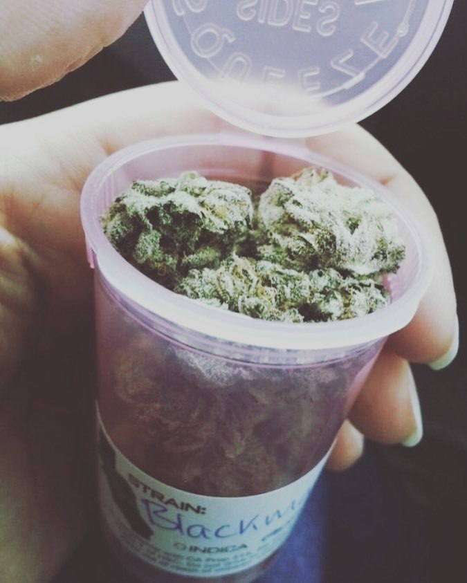 SACRED LEAF