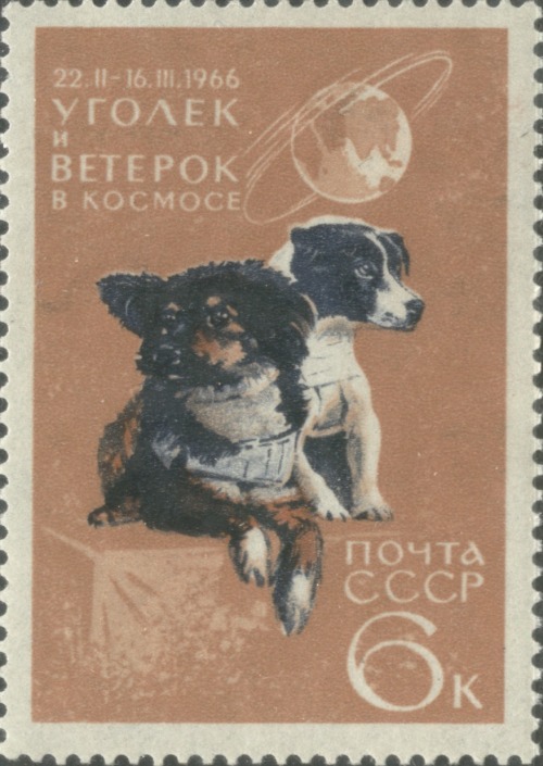 enrique262:Veterok (Ветерок, “Light Breeze”) and Ugolyok (Уголёк, “Coal”) were the last soviet space