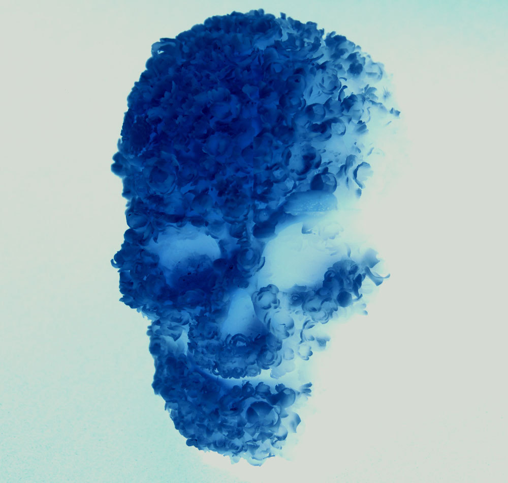 Blue Skull by Jacky Tsai