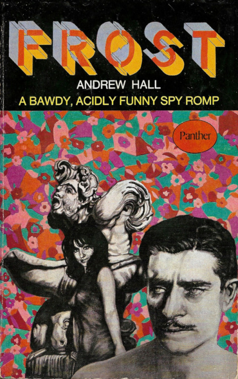 Porn photo Frost, by Andrew Hall (Panther, 1967). Cover