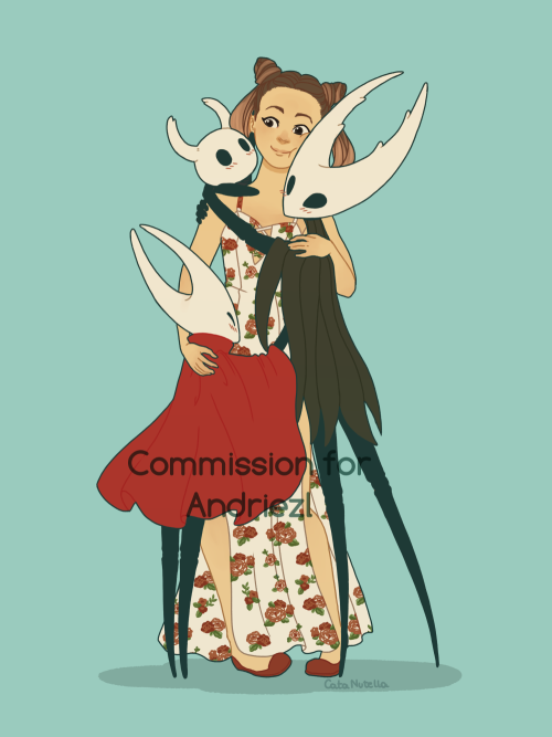 Some Of The Hollow Knight Commissions Ive Done!