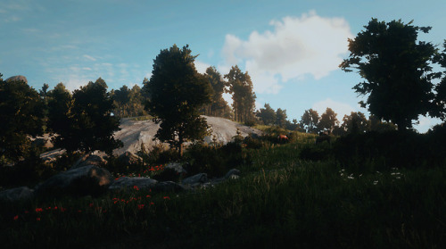 amaurealavellan: red dead redemption 2 - scenery (4/4)