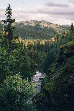 eartheld:  mostly nature