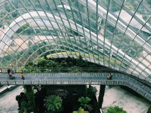 venetians:cloud dome @ singapore’s gardens by the bayadmission was fairly reasonable and I rec