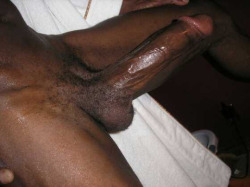 Black Cocks Raw