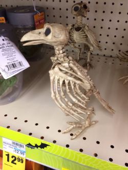 ryaevelon:  princesszangiev:  coltercat:  The spoopiest part of this skeleton bird decoration is the complete lack of knowledge in basic skeletal anatomy  somebody please draw this creature with skin on because i think it would be horrifying because those